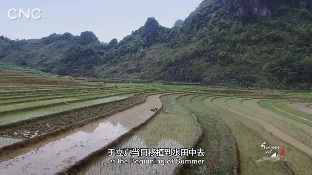 狂飙9.7！叫板BBC！这部国宝级神作，每一帧都好绝