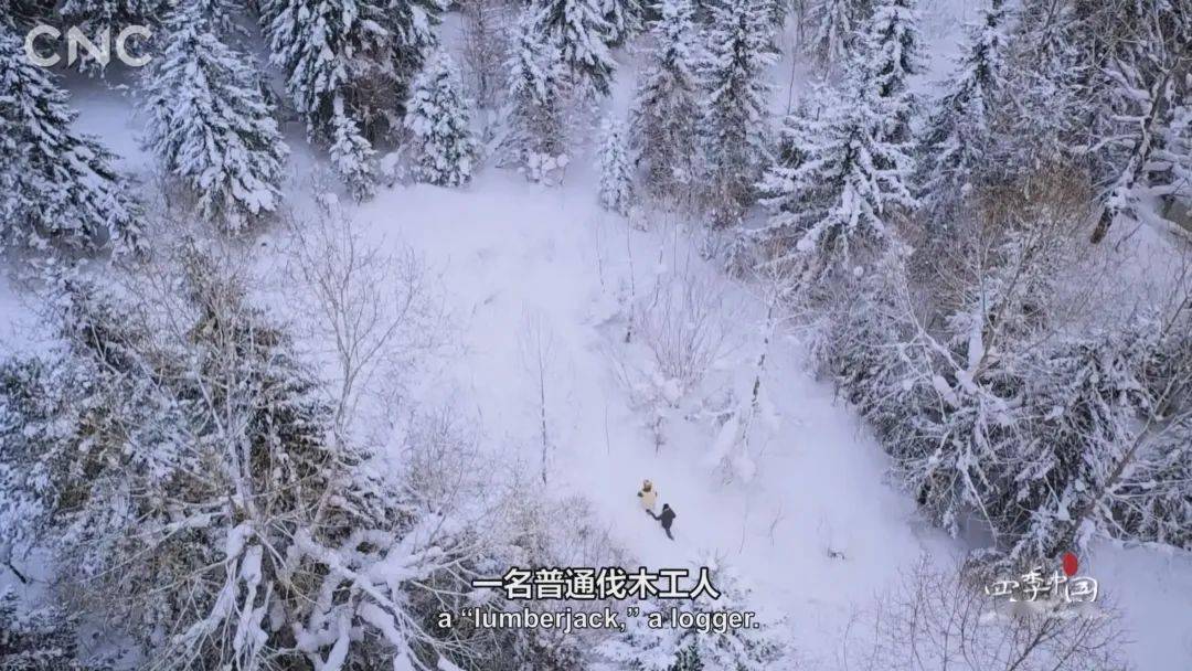 狂飙9.7！叫板BBC！这部国宝级神作，每一帧都好绝