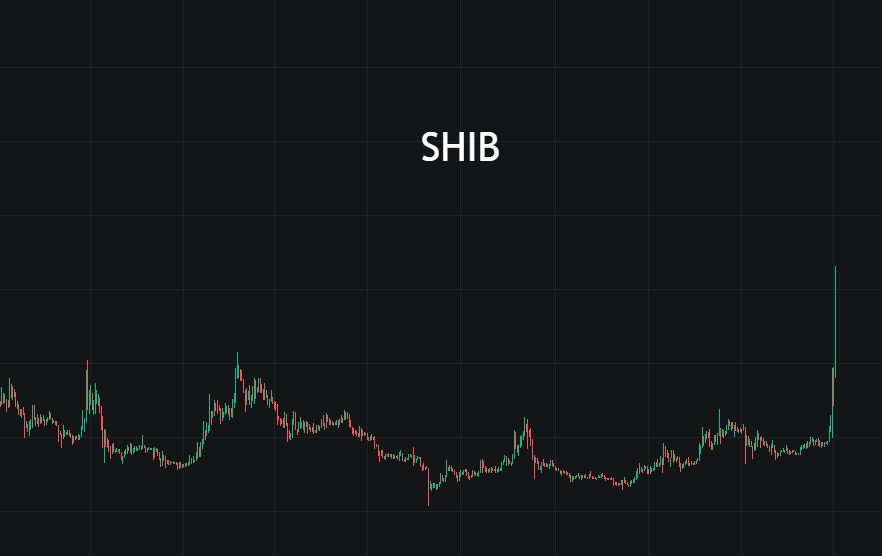 SHIB三天一倍，山寨市场遍地开花
