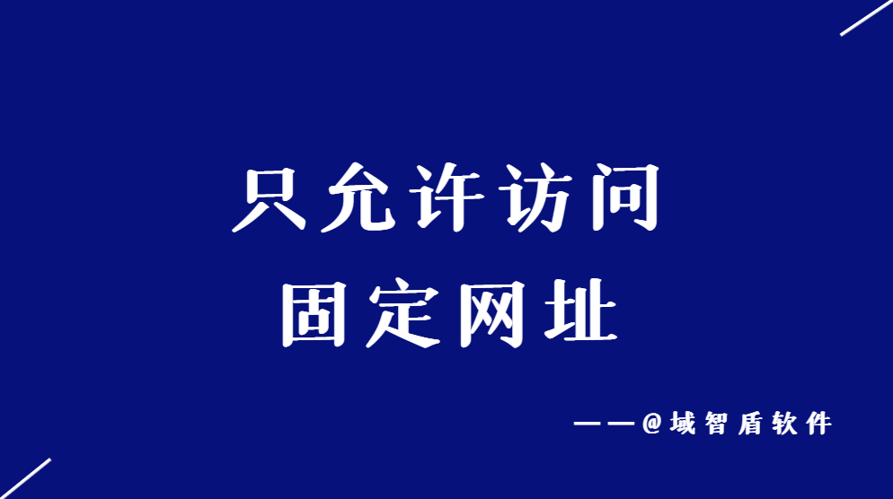 只允许访问固定网址，如何限制电脑只能打开或访问特定的某一个网站