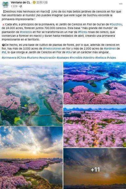 花期将至，多家海外社交媒体账号关注贵安樱花园