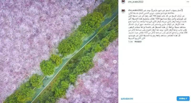 花期将至，多家海外社交媒体账号关注贵安樱花园