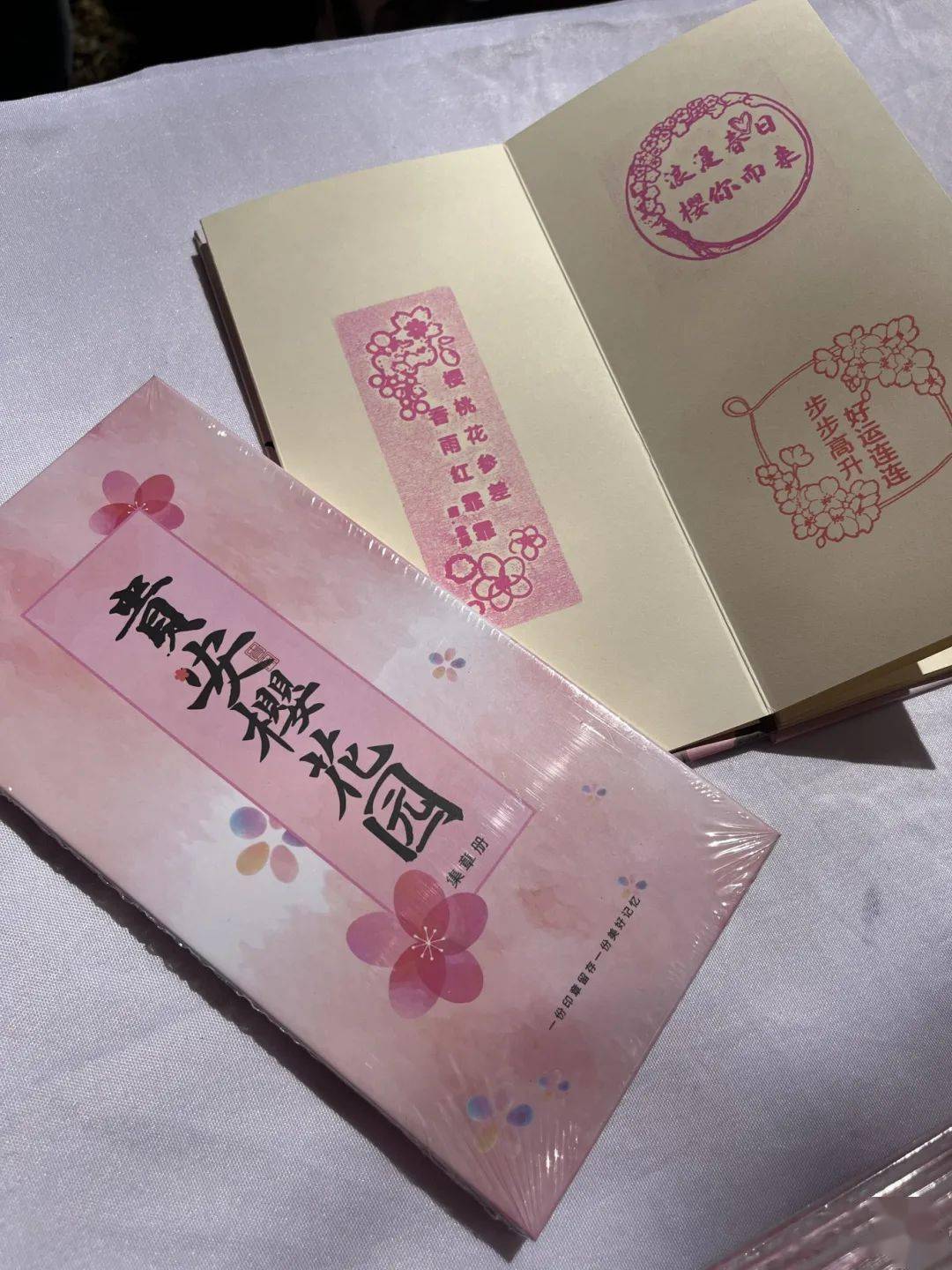 贵安樱花园观景台、繁樱广场怎么玩？一文告诉你