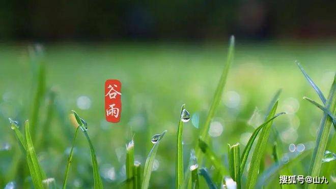 “谷雨三不吃，吃了春难安”，三不吃指什么？