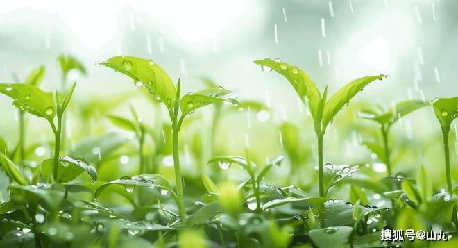 “谷雨三不吃，吃了春难安”，三不吃指什么？