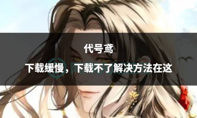 代号鸢下载缓慢，下载不了解决方法在这