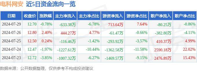股票行情快报：电科网安（002268）7月29日主力资金净卖出633.38万元