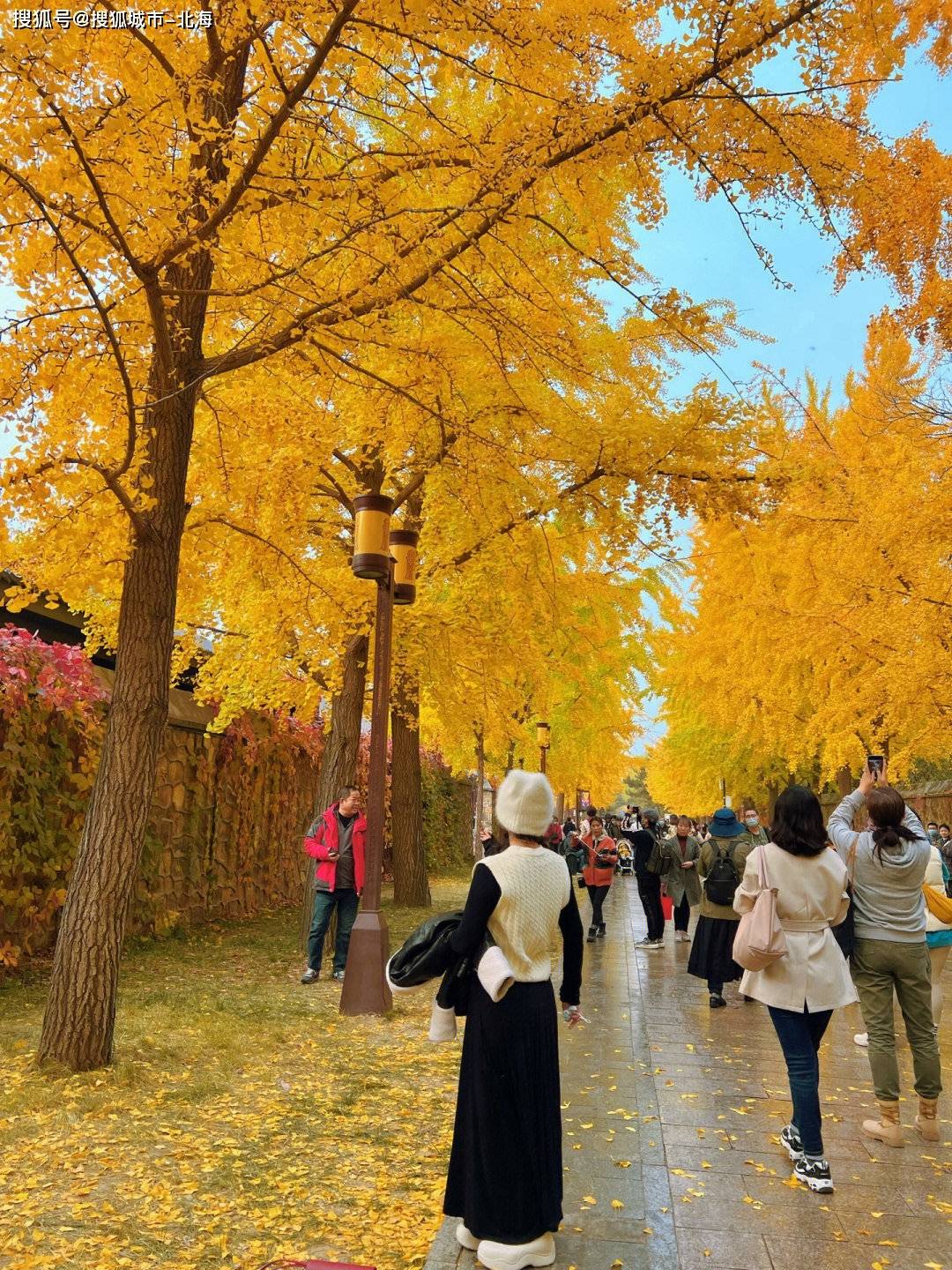 最火攻略：报团去北京旅游6天大概多少人民币？最火攻略：北京旅游六天多少钱