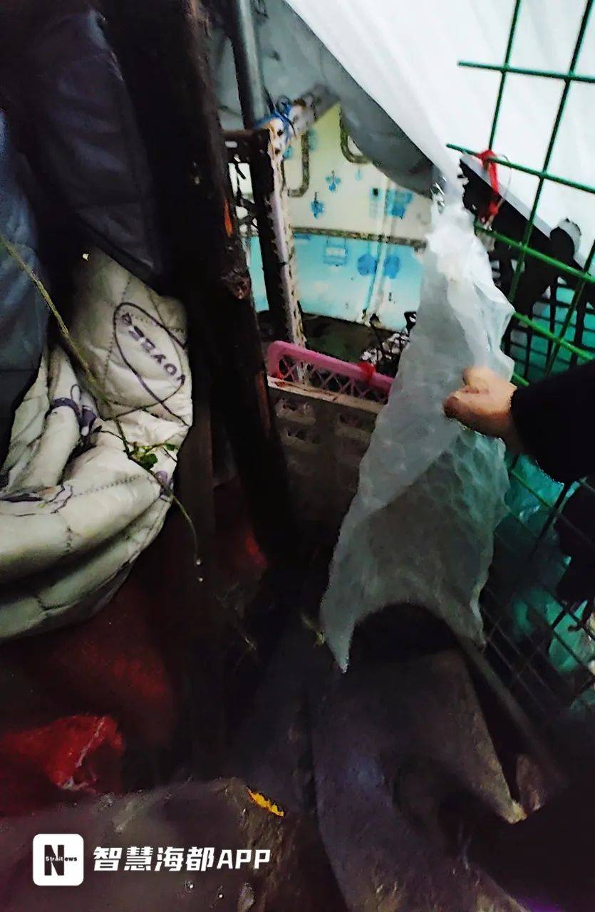 “这是我的宠物！”福州一独居老人在小区搭鸡窝养鸡，引发争议！
