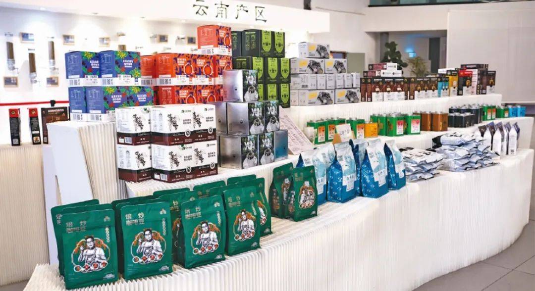 云南咖啡进阶精品路上，昆明特色立“咖”位！